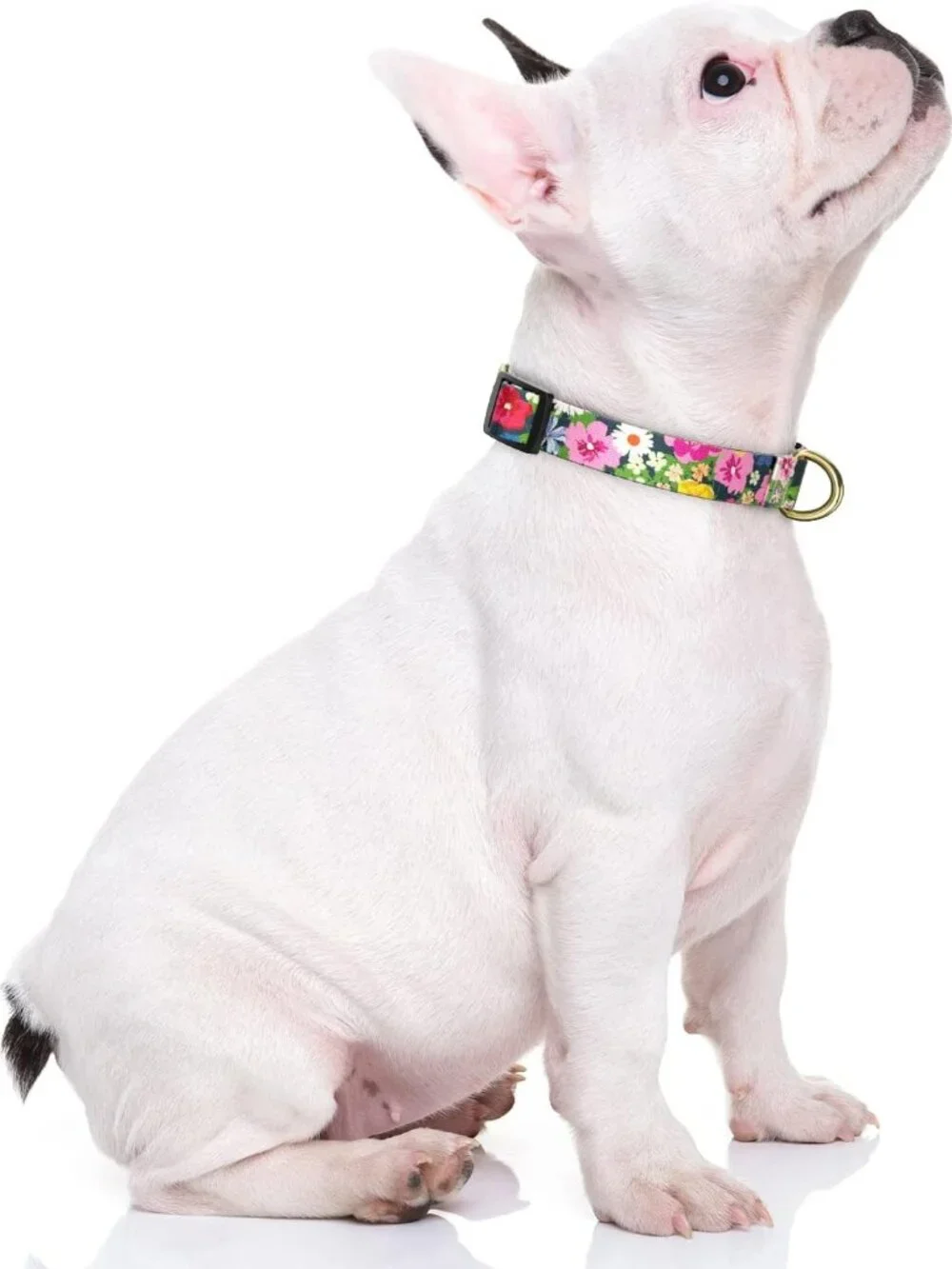 Dog Collar for Small Dogs, Cute Floral Heavy Duty Adjustable Puppy Collar with Q - Picture 2 of 7
